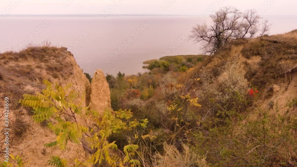 Autumn is the most beautiful (picturesque) season in the forest. Odessa region (Ukraine). Autumn is the most beautiful (picturesque) season in the forest. Odessa region (Ukraine).