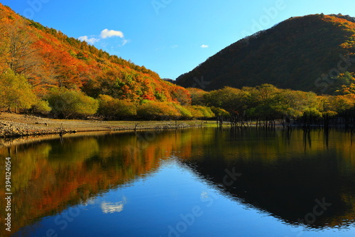 秋の仙人峠 © yspbqh14