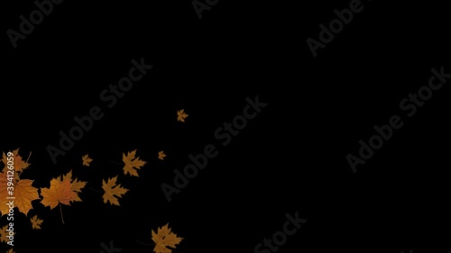 Autumn Leaves Transition Animation with PNG Alpha Background.