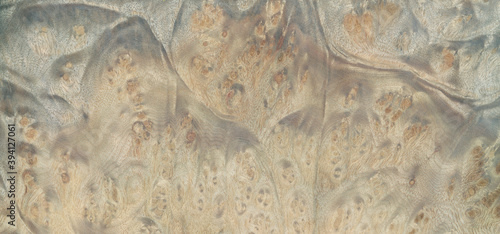 Wallpaper Mural Macro photo of wood cross section Wood grain texture background Torontodigital.ca
