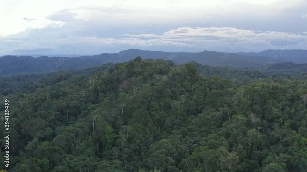 Aerial view of a tropical rainforest in Ecuador, South America
Aerial view of a tropical rainforest in Ecuador, South America