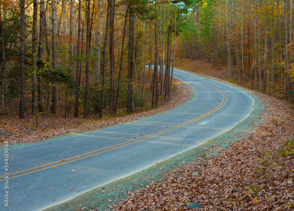 Fototapeta premium Turn in the road during the fall
