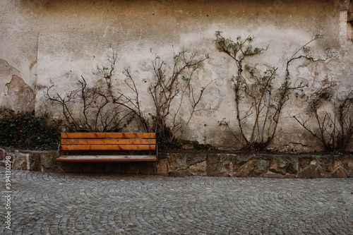 Plant climbing on cracked wall behind wooden frozen bench in alpine village photo