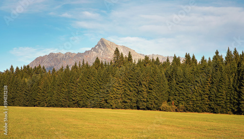 Mount Krivan peak Slovak symbol wide panorama with autumn meadow in foreground, Typical autumnal scenery of Liptov region, Slovakia