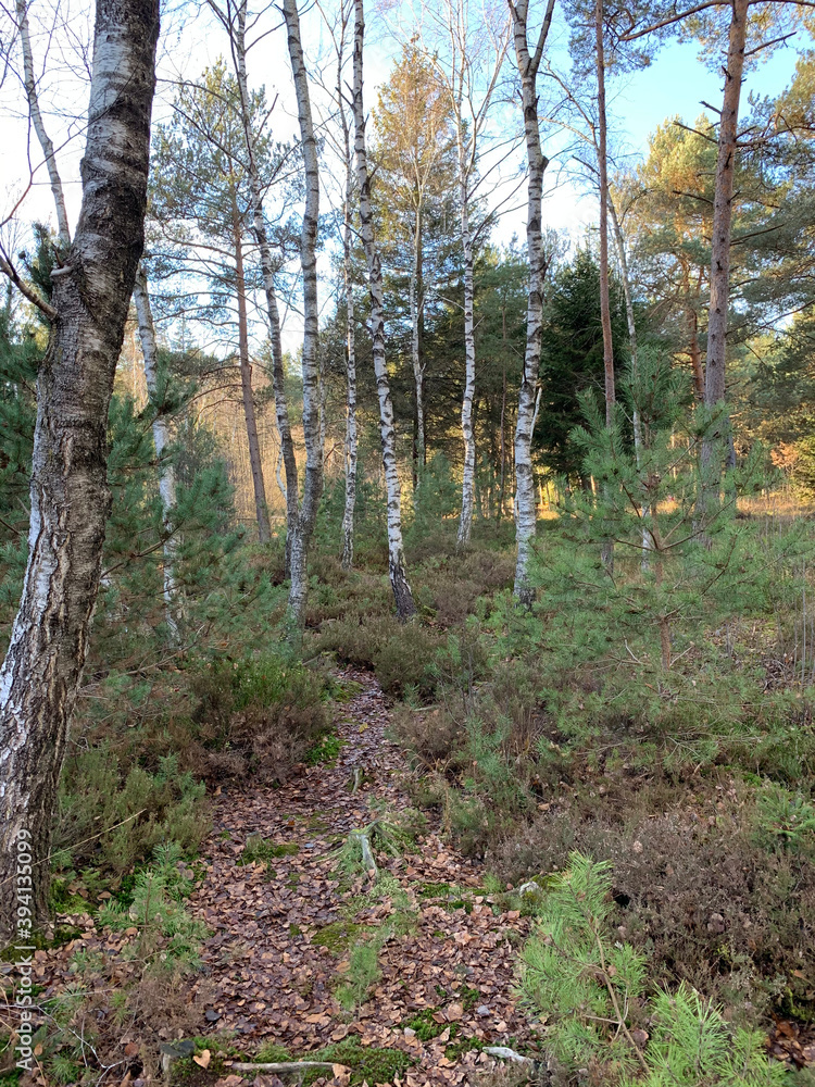 Natur Idylle am Fuße des Wendelsteins (Sterntaler Filze) Natur Idylle am Fuße des Wendelsteins (Sterntaler Filze)