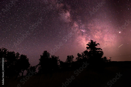 Milky way and stars in the night with tree silhouettes 
