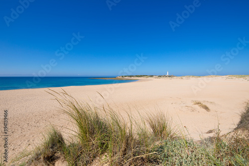 Fototapeta Naklejka Na Ścianę i Meble -  wild Varadero Beach and Trafalgar Cape in Cadiz