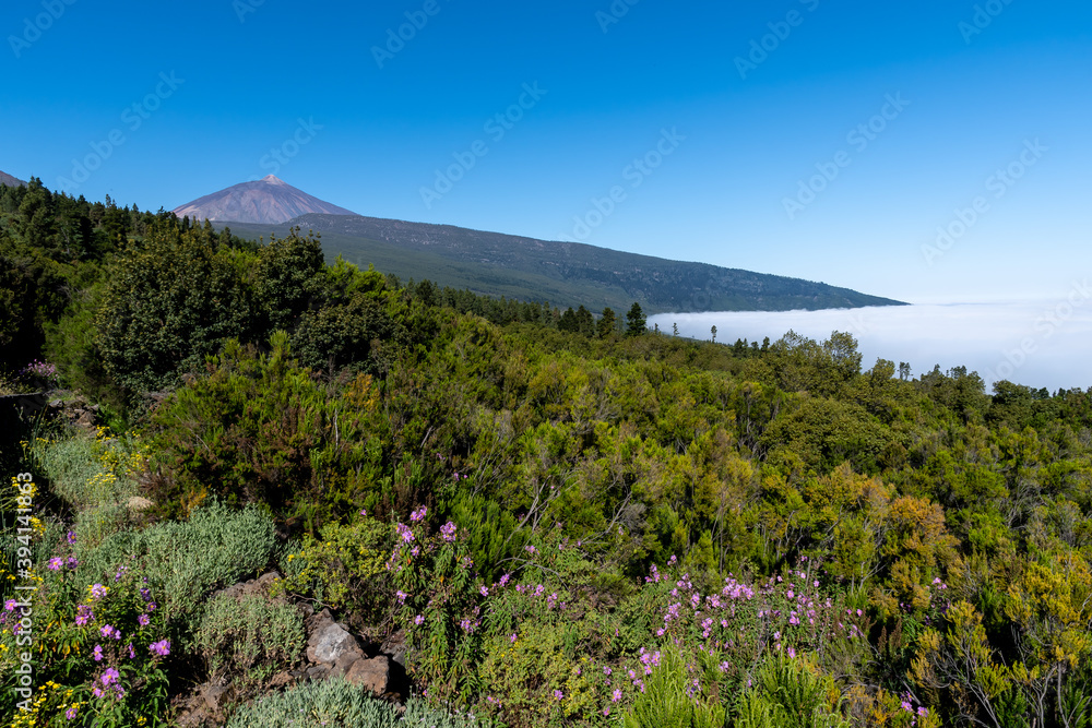 Pico Del Teide über den Wolken.
