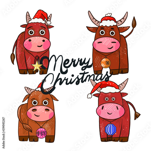 Set of vector stickers for the new year. Symbol of the year bull or bison, buffalo. Different animal poses according to the Chinese calendar