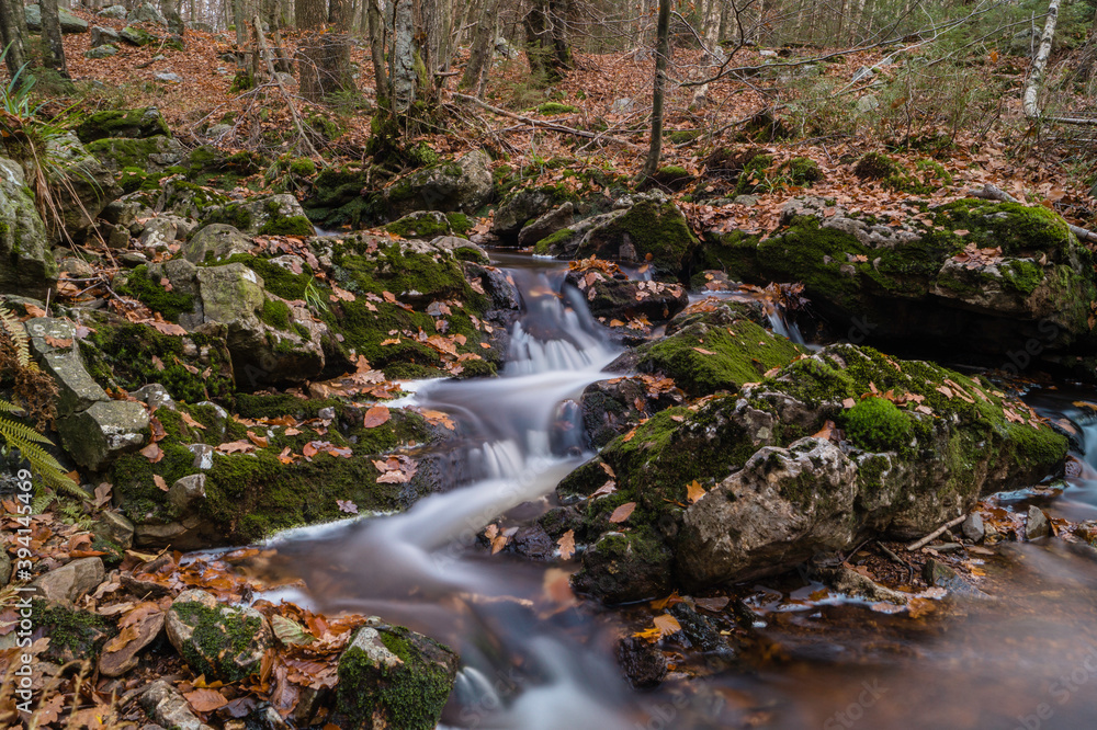 Obraz premium Suivons la statte