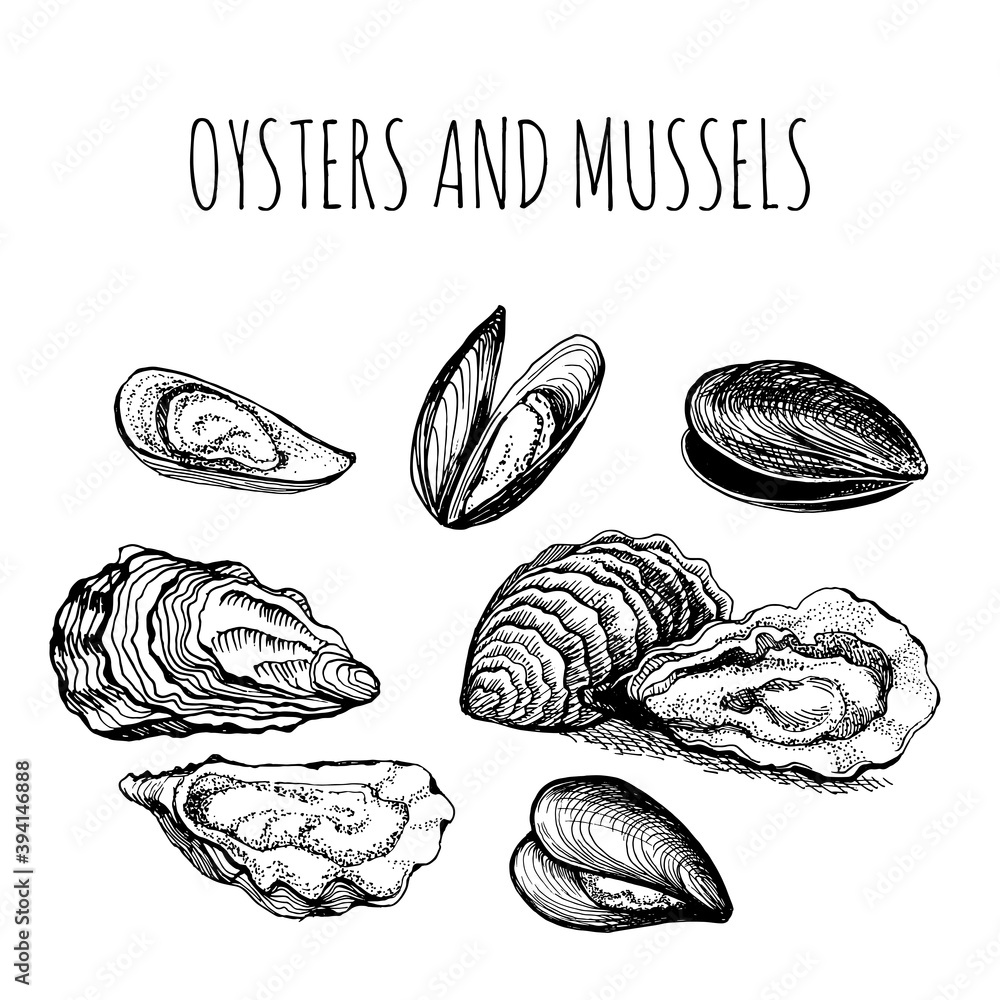 Oysters and mussels. Marine edible shellfish. Delicacies from the sea