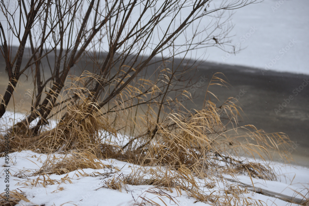Obraz premium Field in the late autumn