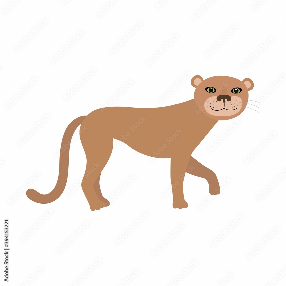 Obraz premium Puma cougar or mountain lion. Vector illustration isolated on white background.