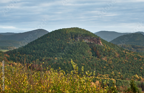 Rolling hills and beautiful landscape in the Palatinate forest  Germany