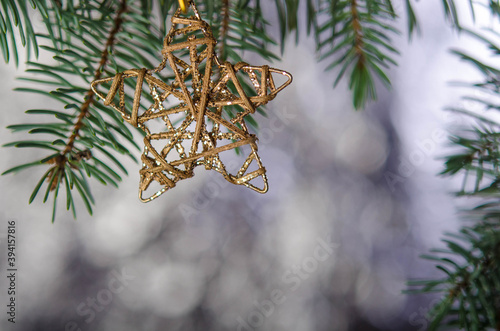 Christmas gold star hanging on a fir branch on a silver background.
