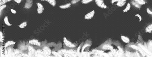 Falling feather background. Realistic 3d fluffy bird plumage for advertising. Style smooth border for horizontal banner, decorative frame, poster or flyer, vector isolated hen, goose or swan quill