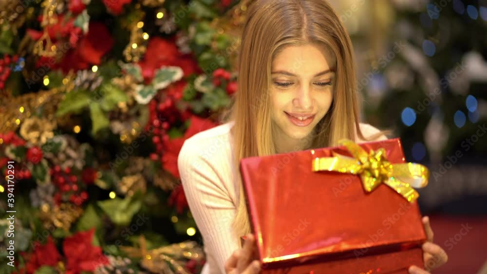Beautiful girl with a gift on New Year's holiday. Beautiful girl with a gift on New Year's holiday.