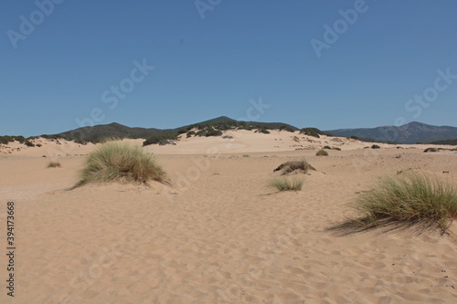 le dorate dune di sabbia di piscinas in sardegna 