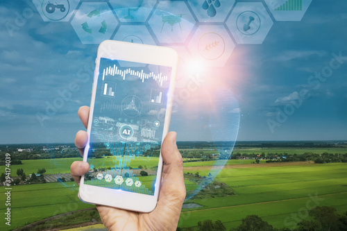 smart farmer holding smartphone,farm background,concept agricultural product control with artificial intelligence or AI technology,agriculture future market,tracking production by smart agriculture photo