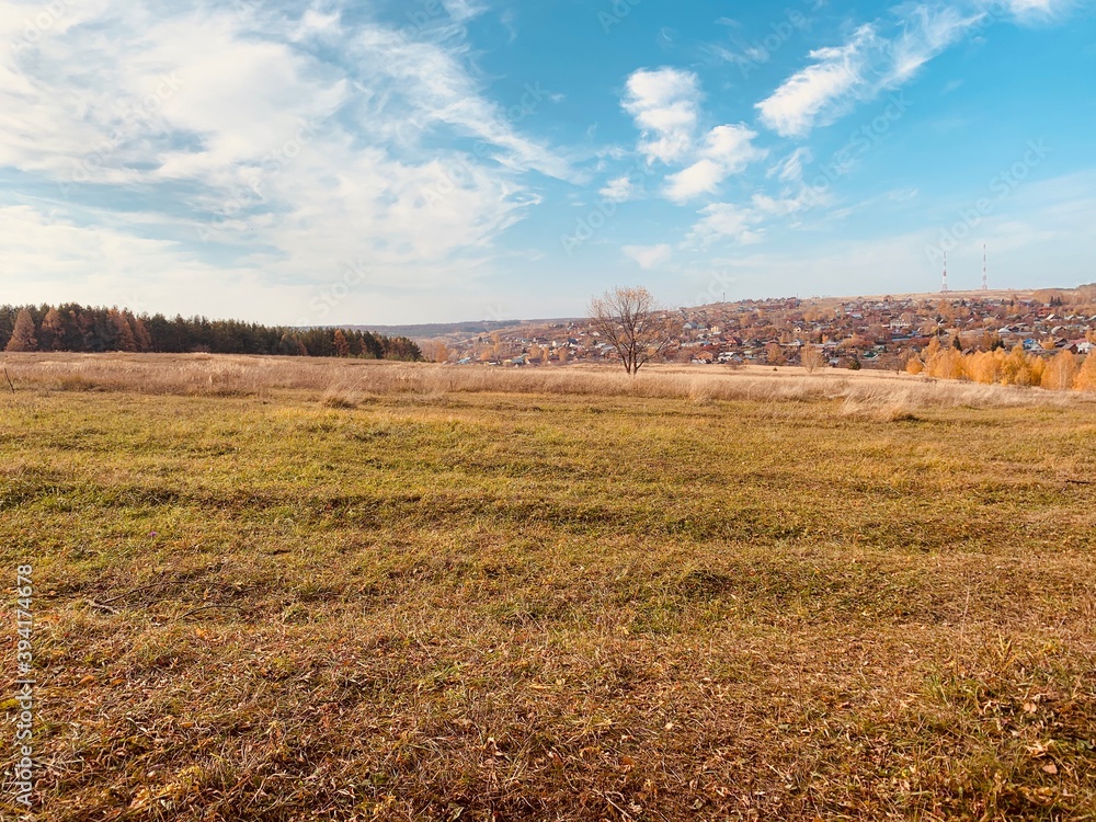 Obraz premium Rural landscape with a field
