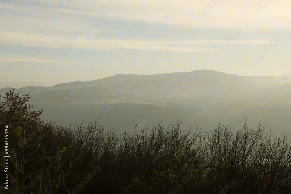 view of the autumn landscape in the fog