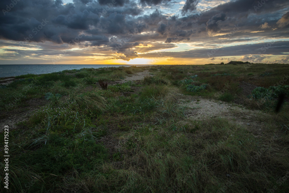 Obraz premium Dünen Fehmarn Abendsonne