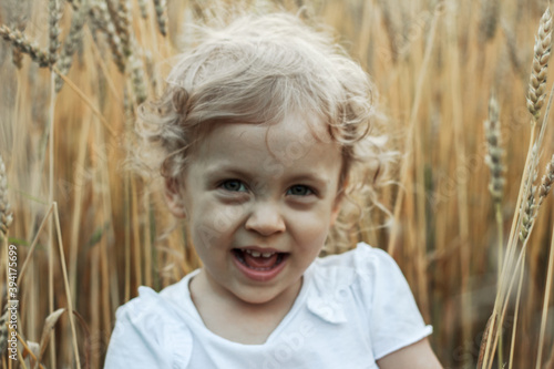 A little curly  fair haired  girl  in a white T-shirt is sitting on wheat field laughing and looking playfully