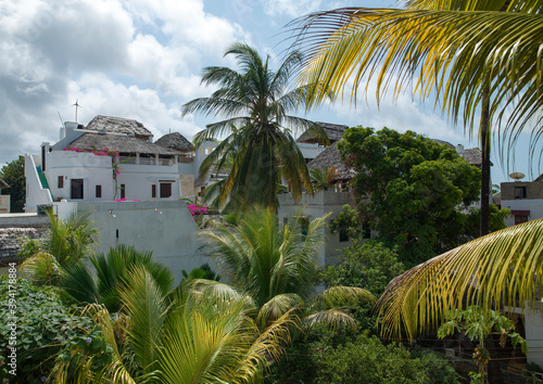 Stone townhouses in the palm trees, Lamu County, Shela, Kenya photo