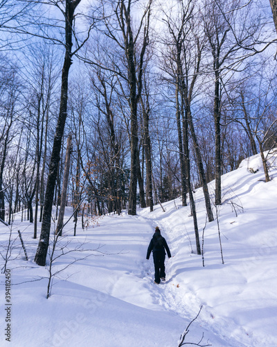 Women hiking in the forest of Mont Orford National Park in Quebec during winter.  photo