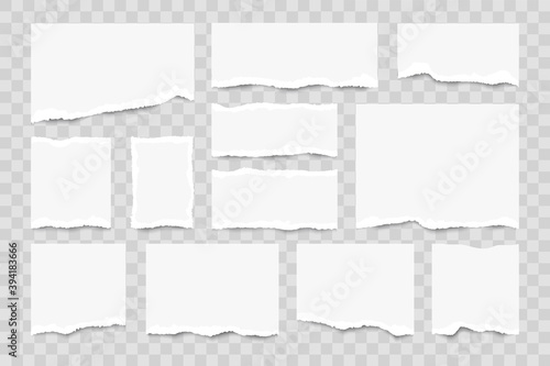 Set of torn paper sheets on transparent background. Realistick pieces of torn white pages. Collection of torn notes.