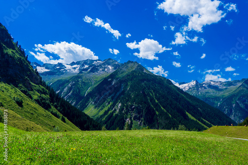 Summer alps landscape with flower meadows and mountain range in background. Photo taked near Ahornspitze, Austria, Hohe Tauern Austrian Alps, Europe
