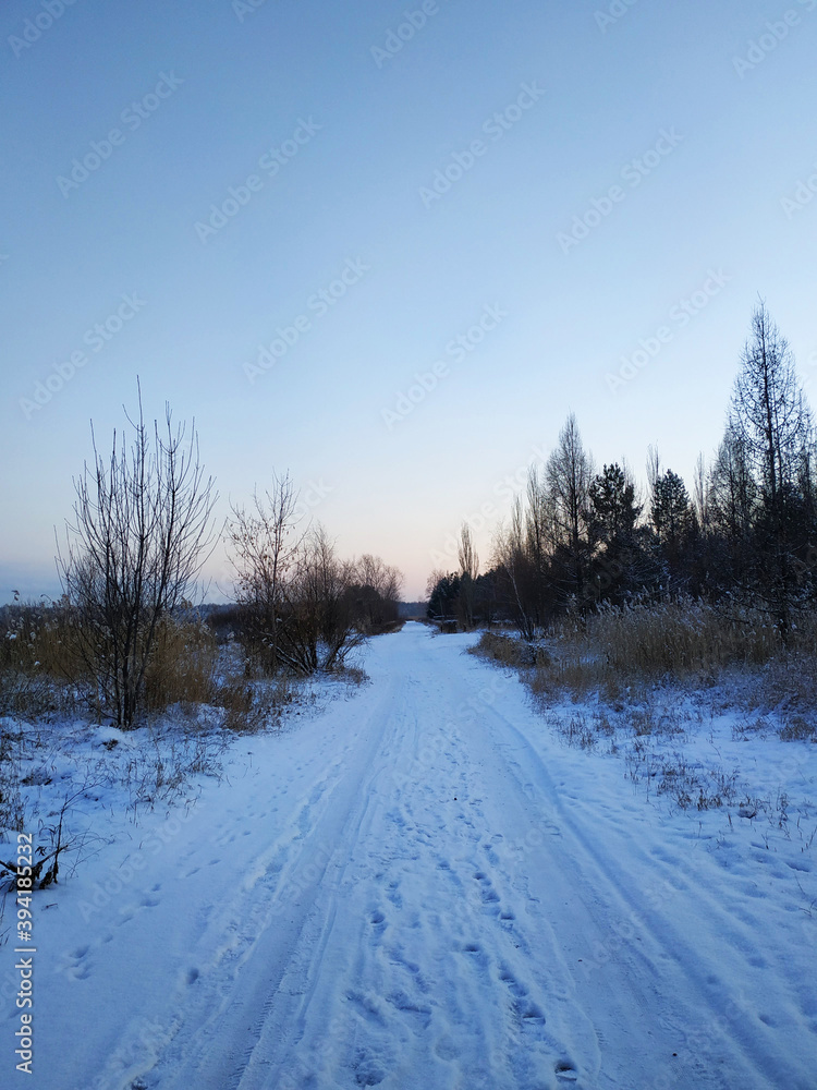 Winter road and trees with snow and sunset or dawn. Winter vertical twilight landscape of the road with traces from the car wheels, traces of human shoes, dark trees