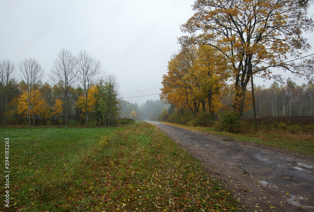 typical road in podlasie, poland (autumn)