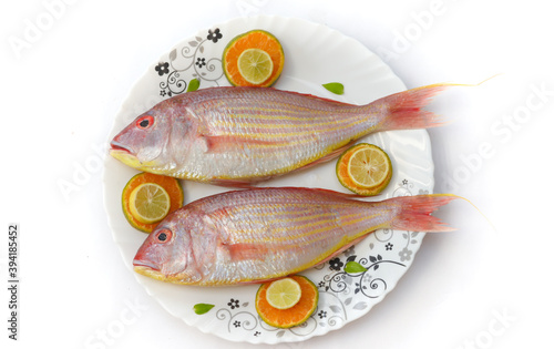 Close up view of fresh Pink Perch (thread finned Bream) Decorated with lemon slice,Orange slice and curry leaves on a white plate,White Background,Selective focus.