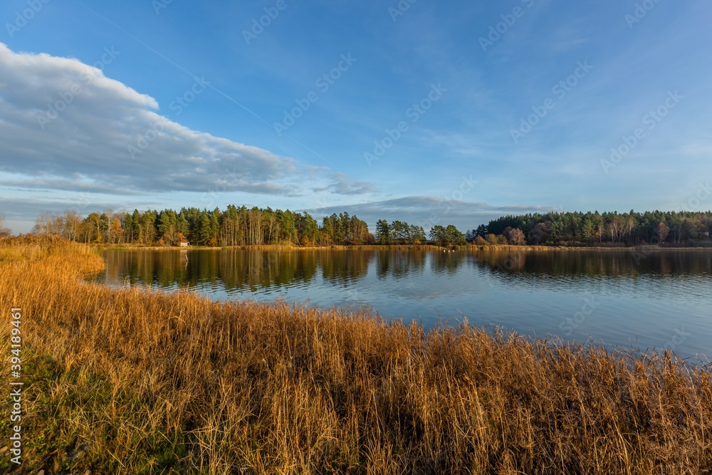 The scenery of calm lake with reflection of blue sky in the water and green trees around. Yellow and brown grass in the foreground. Bright sunny autumn evening.