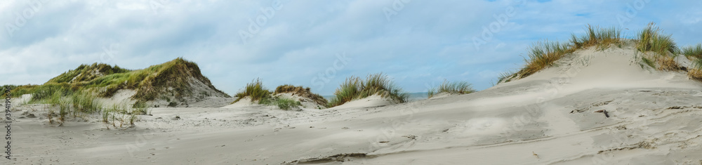 Panoramic view over the dunes of Ameland, Holland Panoramic view over the dunes of Ameland, Holland
