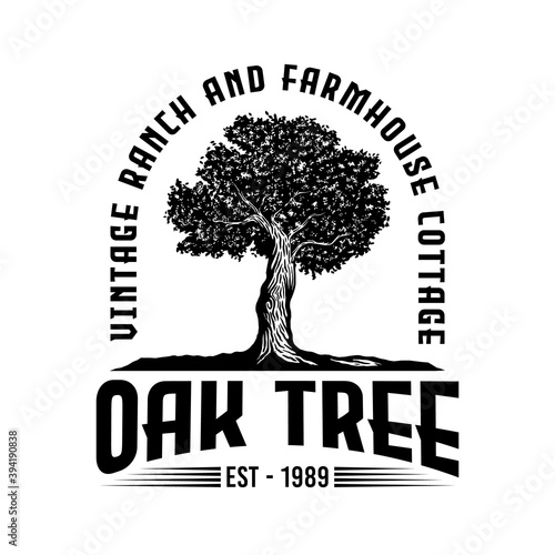 Vintage Old oak strong tree
