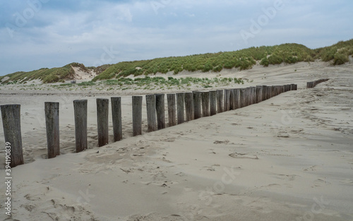 Wooden breakwater along the Dutch coast of Ameland