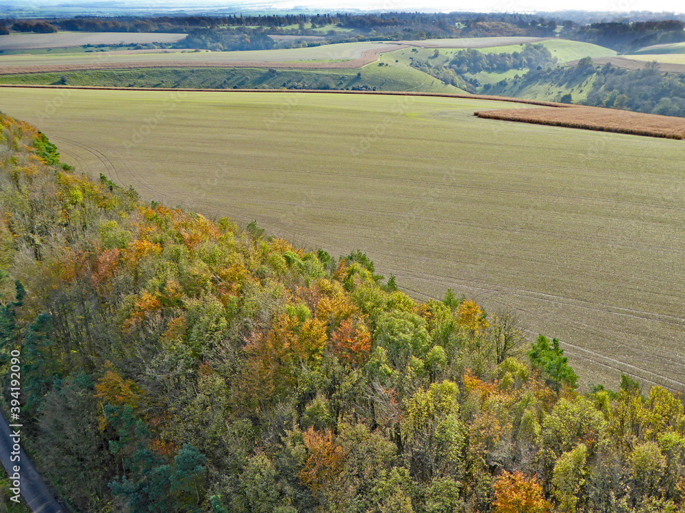 Aerial view of the trees at Monks Down in Wiltshire