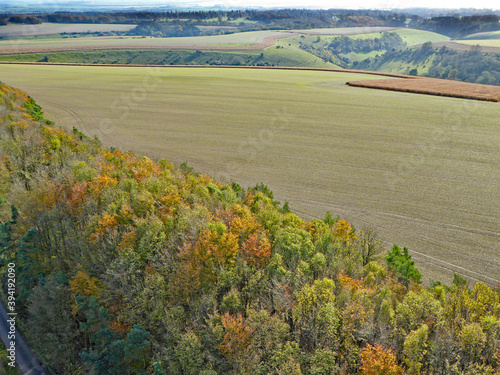 Wallpaper Mural Aerial view of the trees at Monks Down in Wiltshire Torontodigital.ca