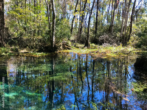 McBride's Slough, a small swamp area near Tallahassee, Florida