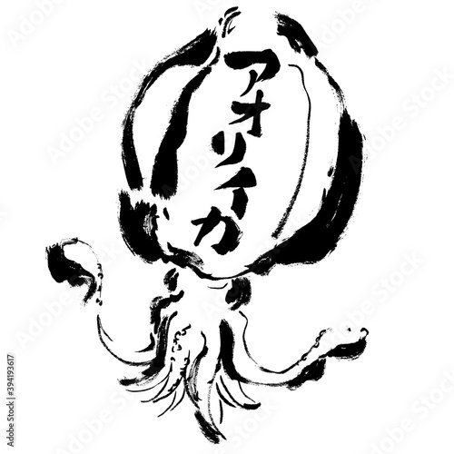 「アオリイカ 」の文字のあるアオリイカの手描きイラスト　イカのイラスト
