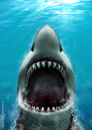 Great White Shark attacking with its mouth open and large teeth