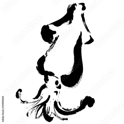 コピースペースのあるスルメイカの手描きイラスト　イカのイラスト　