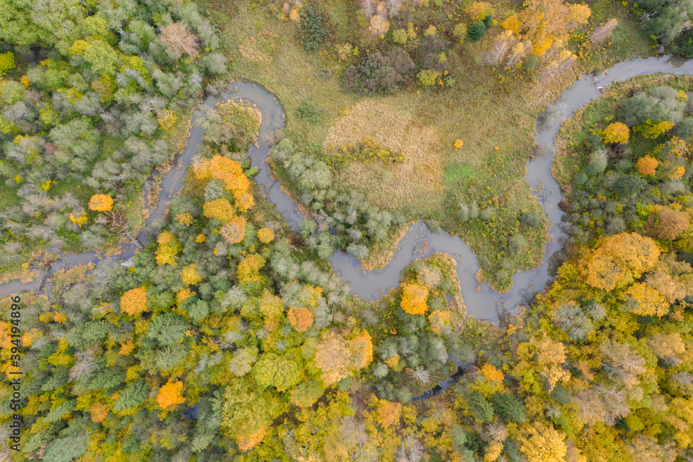Aerial top down view of river flowing through green yellow autumn forest Aerial top down view of river flowing through green yellow autumn forest