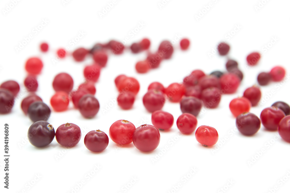 Ripe organic cranberry isolated on white background. Сopy space on a white background. Ripe organic cranberry isolated on white background. Сopy space on a white background.
