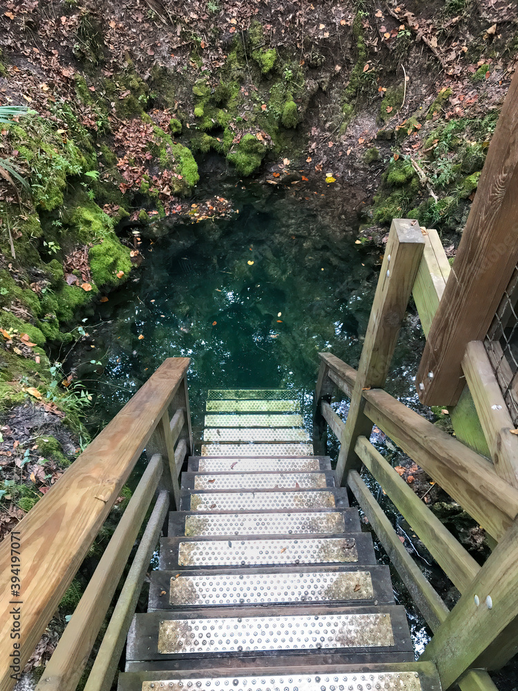 Fototapeta premium Steps leading down to Martz Sink, Madison Blue Springs State Park, Florida