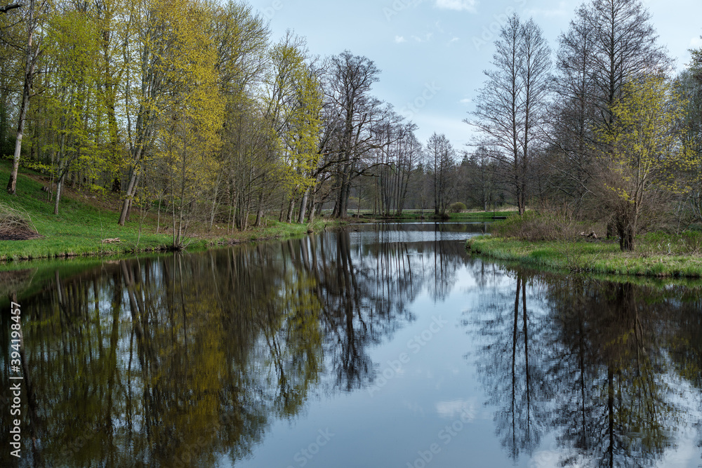 blue sky reflections in clear water pond with spring trees and mirror water blue sky reflections in clear water pond with spring trees and mirror water