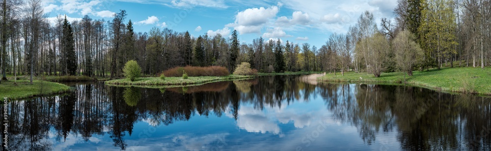 Obraz premium blue sky reflections in clear water pond with spring trees and mirror water