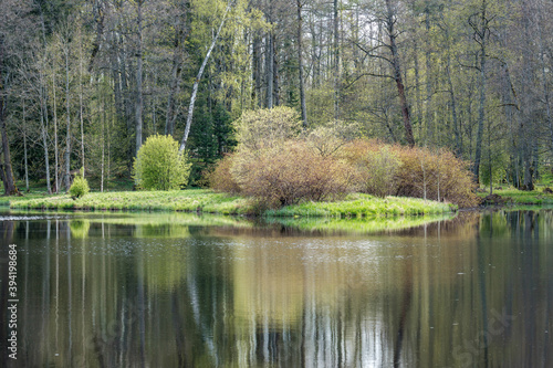 blue sky reflections in clear water pond with spring trees and mirror water